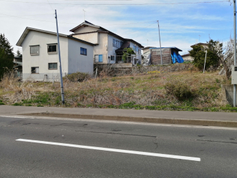 ���n�y�n�ʐ^�@-