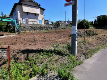 ���n�y�n�ʐ^�@-