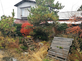 ���n�y�n�ʐ^�@-