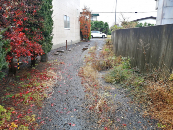 ���n�y�n�ʐ^�@-