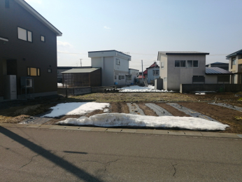 ���n�y�n�ʐ^�@-